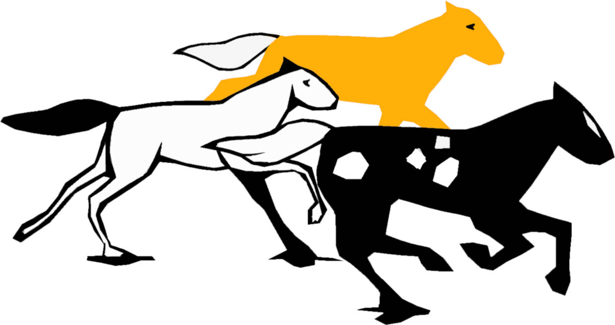 Pferde_Gallopieren.jpg