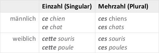 Demonstrativbegleiter_FR.jpg
