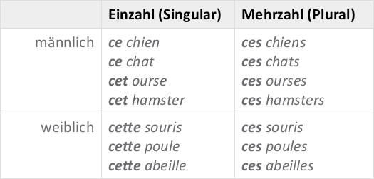 Demonstrativbegleiter_FR_2.jpg