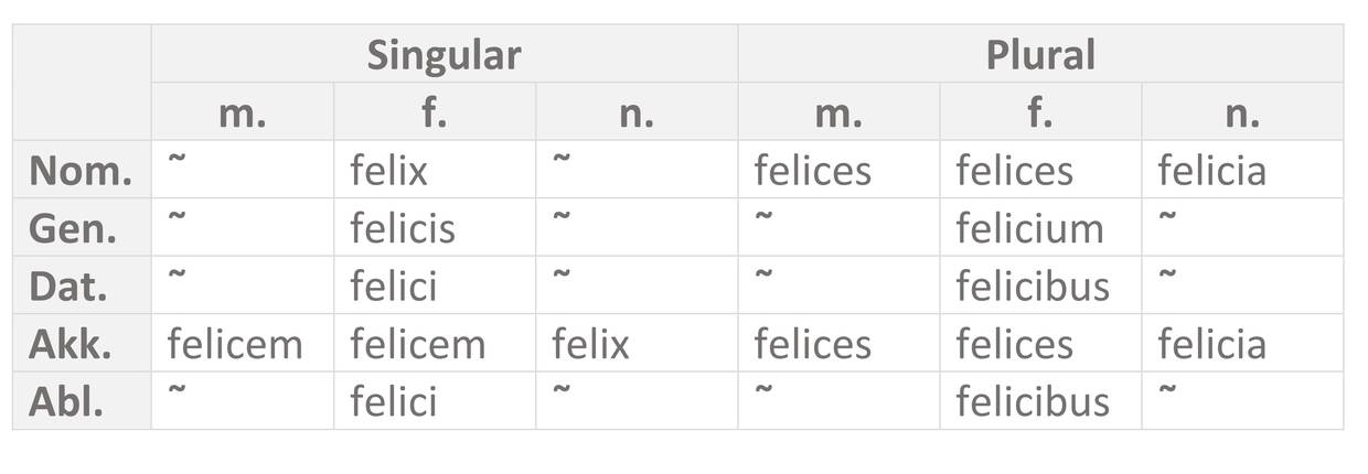 Tabelle_felix_3._Dekl..jpg