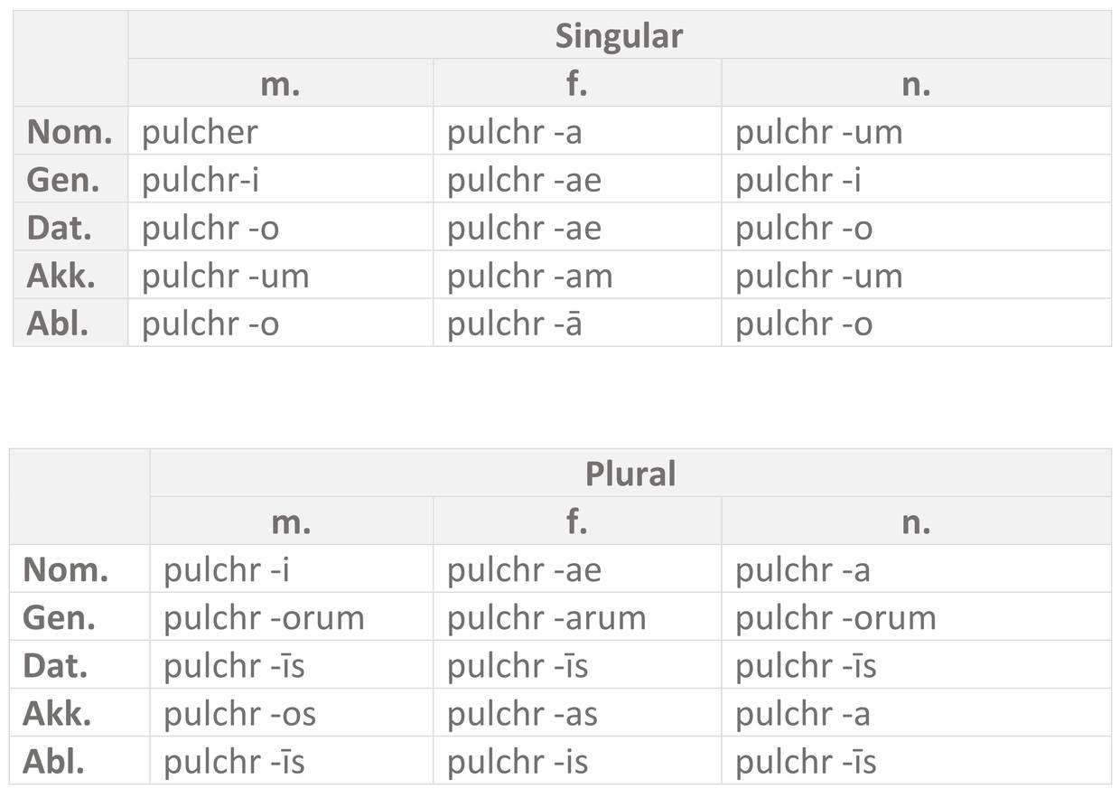 Tabelle_pulcher_Endungen-Adj._a-o-Dekl.jpg