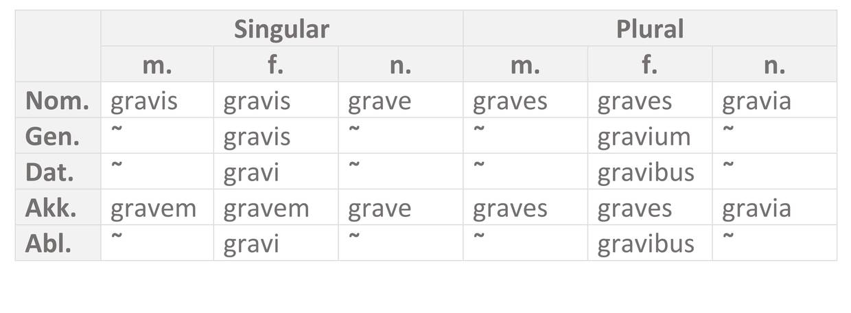 gravis_Dekl-Tabelle.jpg