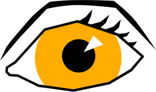 Auge.jpg
