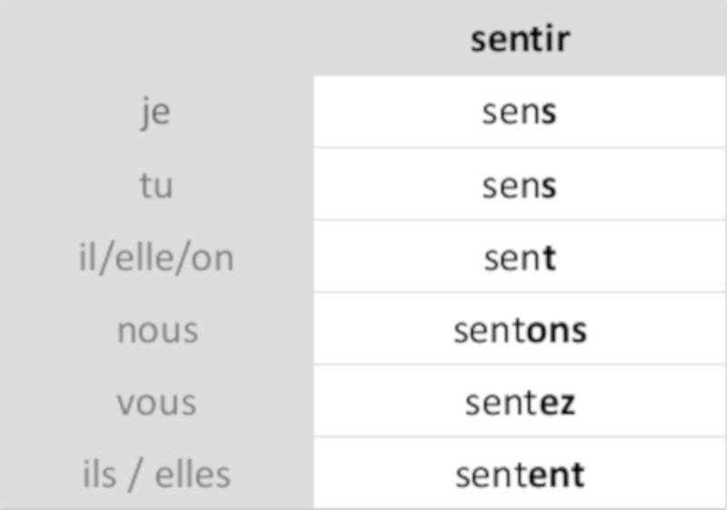 sentir.jpg