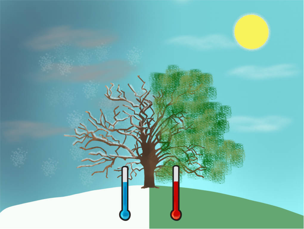winter-sommer.jpg