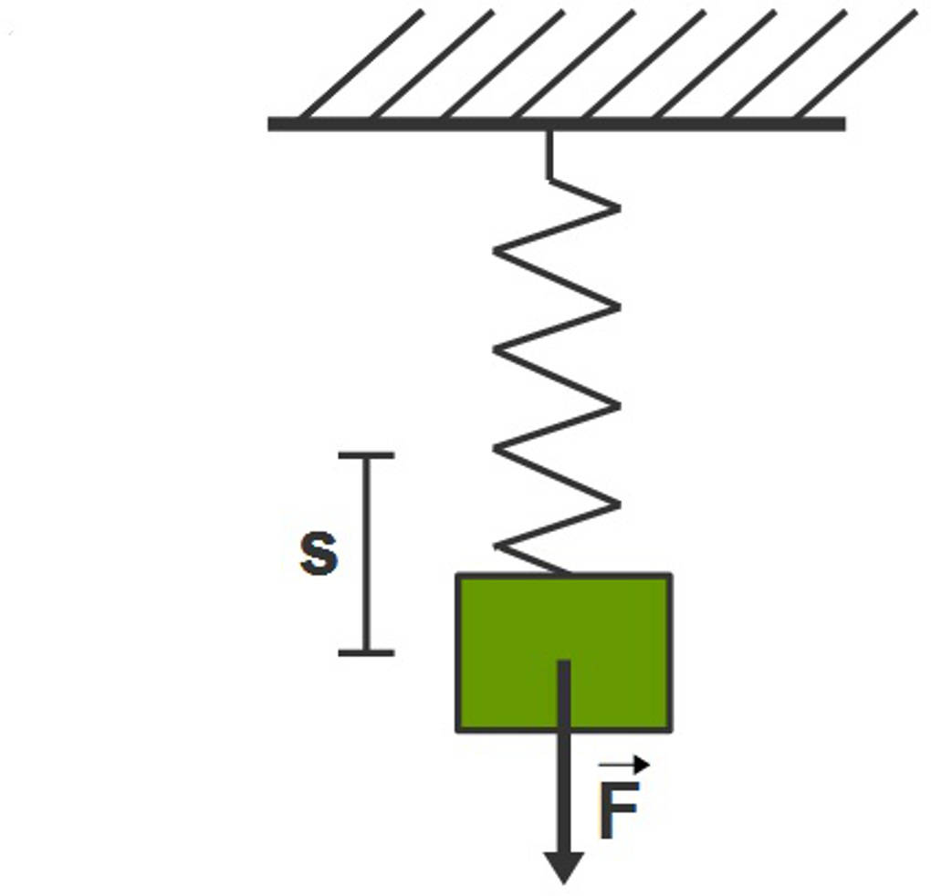 1077_Feder.jpg