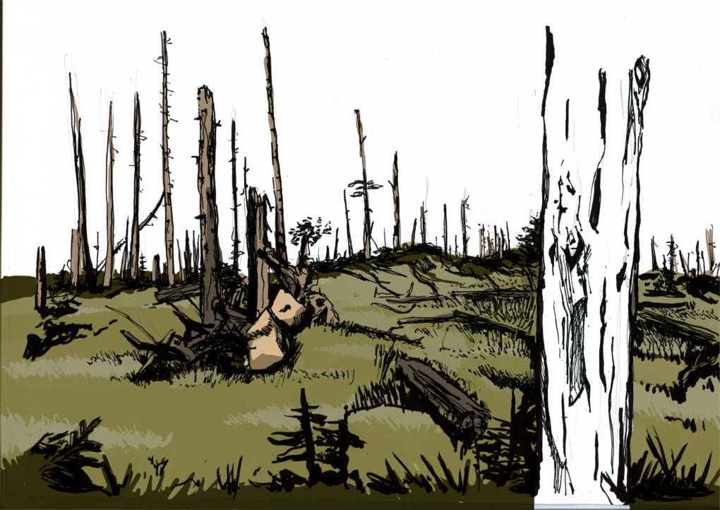 zerstörter Wald