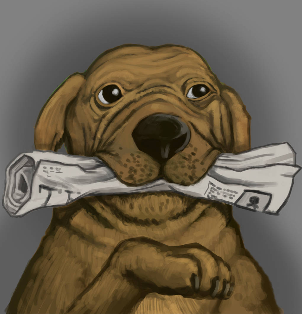 hund.jpg