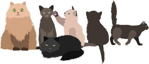 Katzen