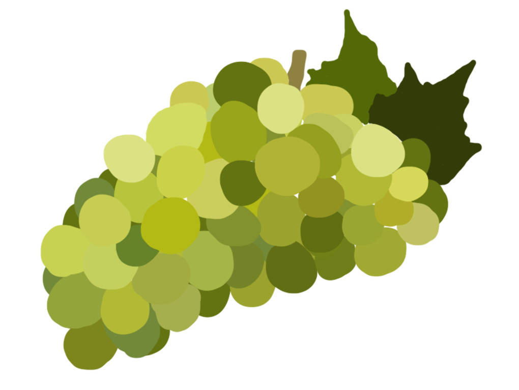 le_vin.jpg