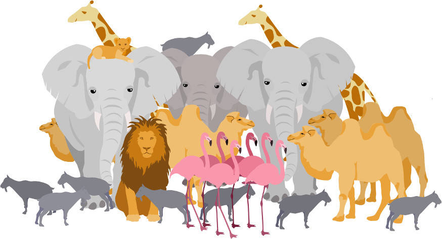 Zoo.jpeg