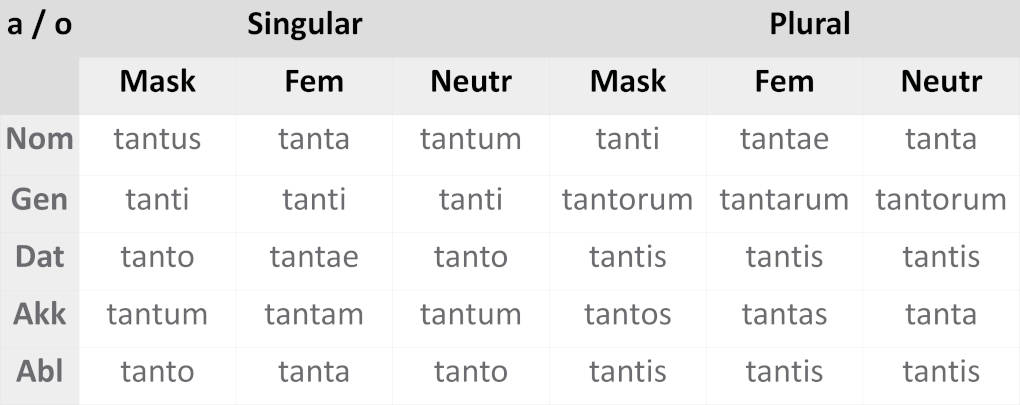 deklination_tantus.JPG