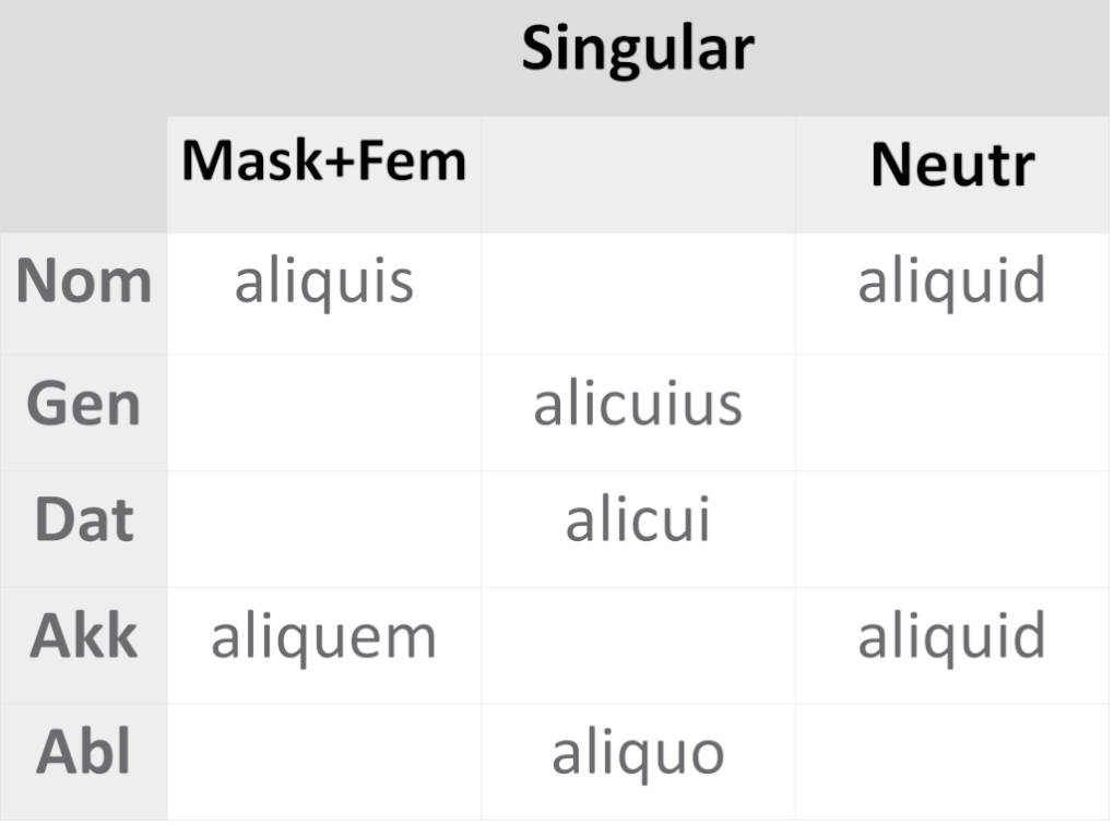deklination_aliquis2.JPG
