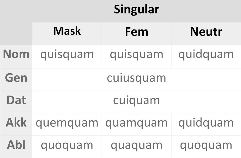 deklination_quisquam.JPG