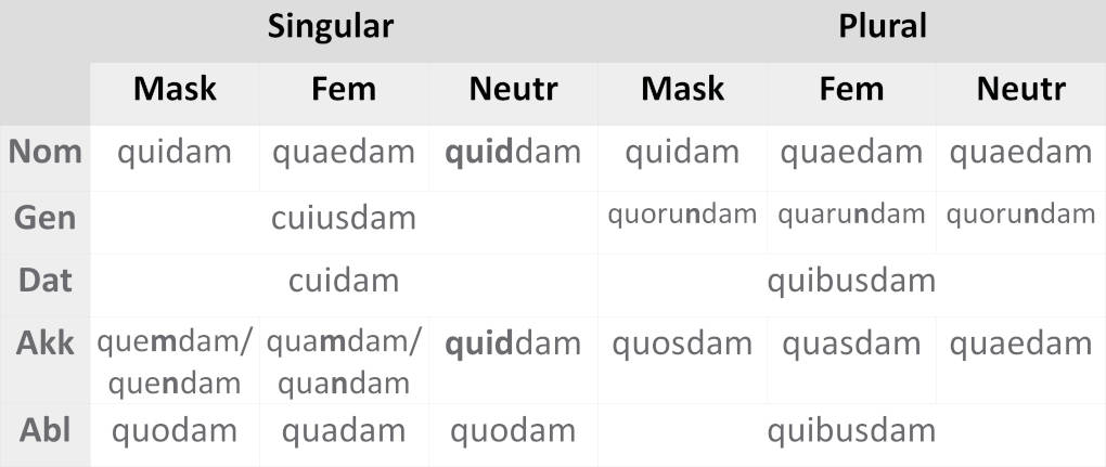 deklination_quidam.JPG