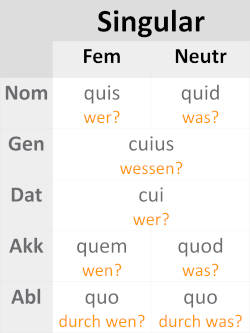 deklination_quis_quid4.JPG