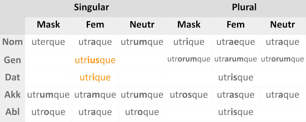 deklination_uterque_fett.JPG