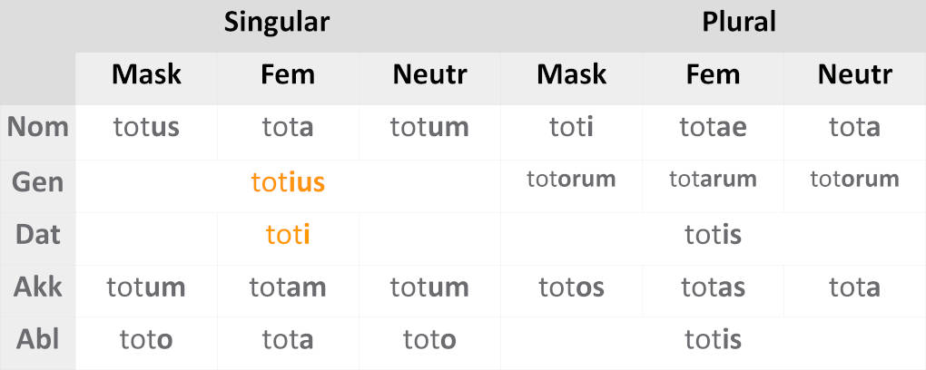 deklination_totus.JPG