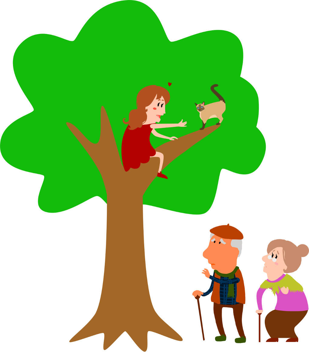 Katze auf Baum