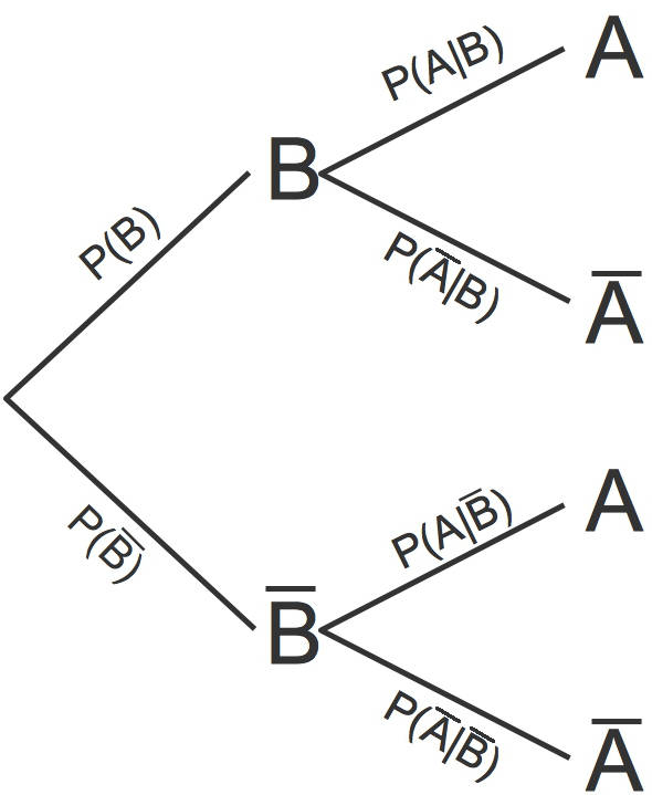 1220_Baumdiagramm_3.jpg