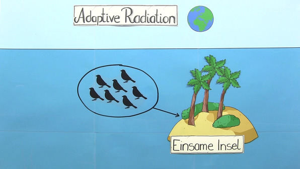 Adaptive Radiation