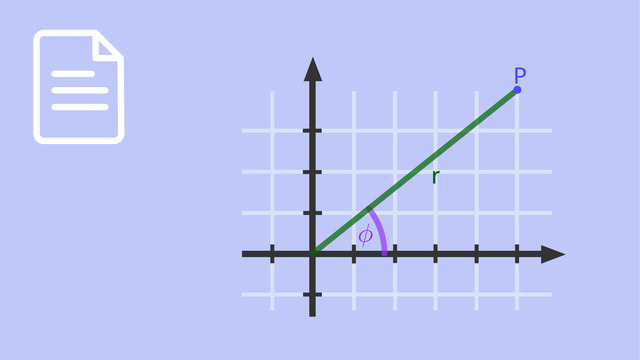 video image