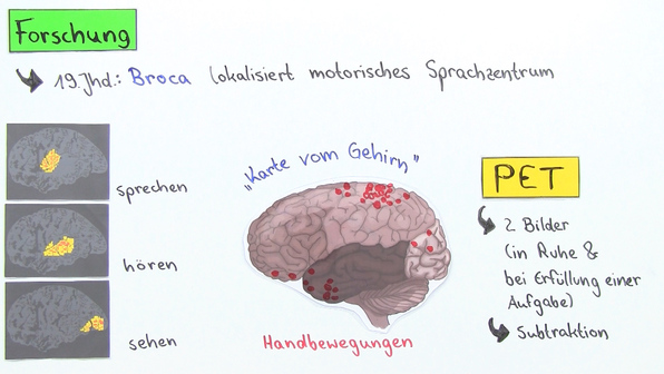 MRT und PET – Einblick in den Körper