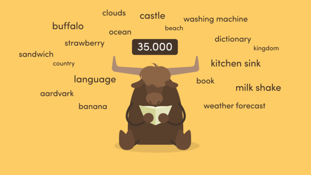How to learn vocabulary – Wie lerne ich Vokabeln? inkl. Übungen