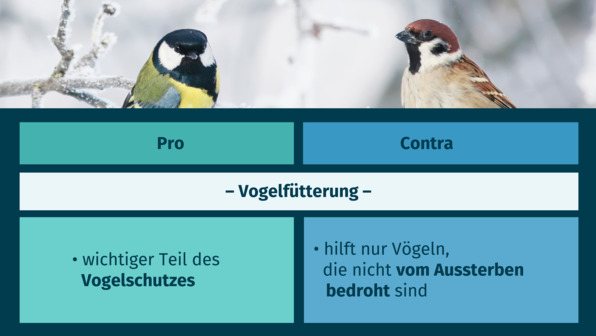 Wintersnot – Vögel auf Nahrungssuche 