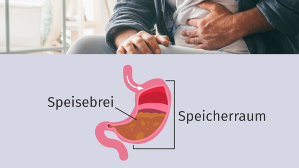 Verdauung beim Menschen: Der Magen