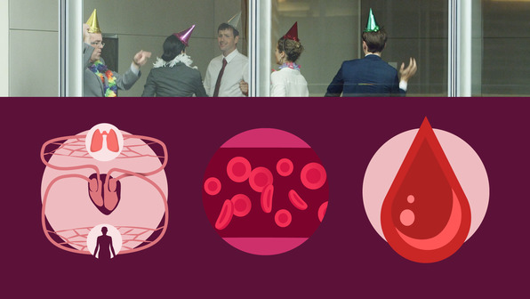 Blut und Blutkreislauf 
