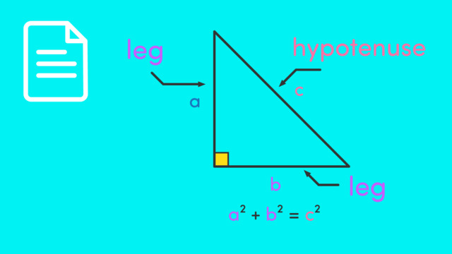 video image