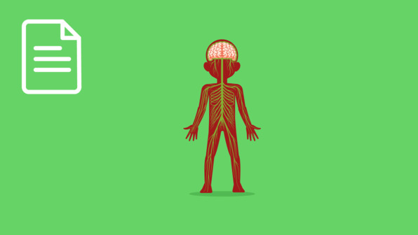 Natrium-Kalium-Pumpe