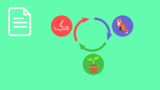 Organismus – Definition 