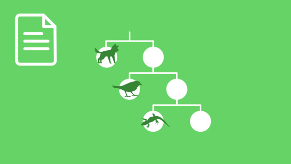 Bestimmungsschlüssel für Wirbeltiere