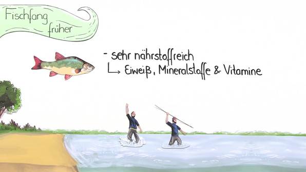 Fischfang – Nahrung aus dem Meer